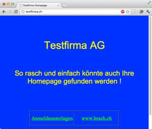 Screenshot der Website «testfirma.ch»