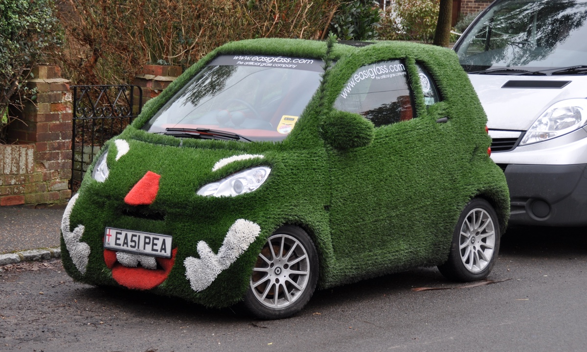 Foto: Grasbedeckter Smart